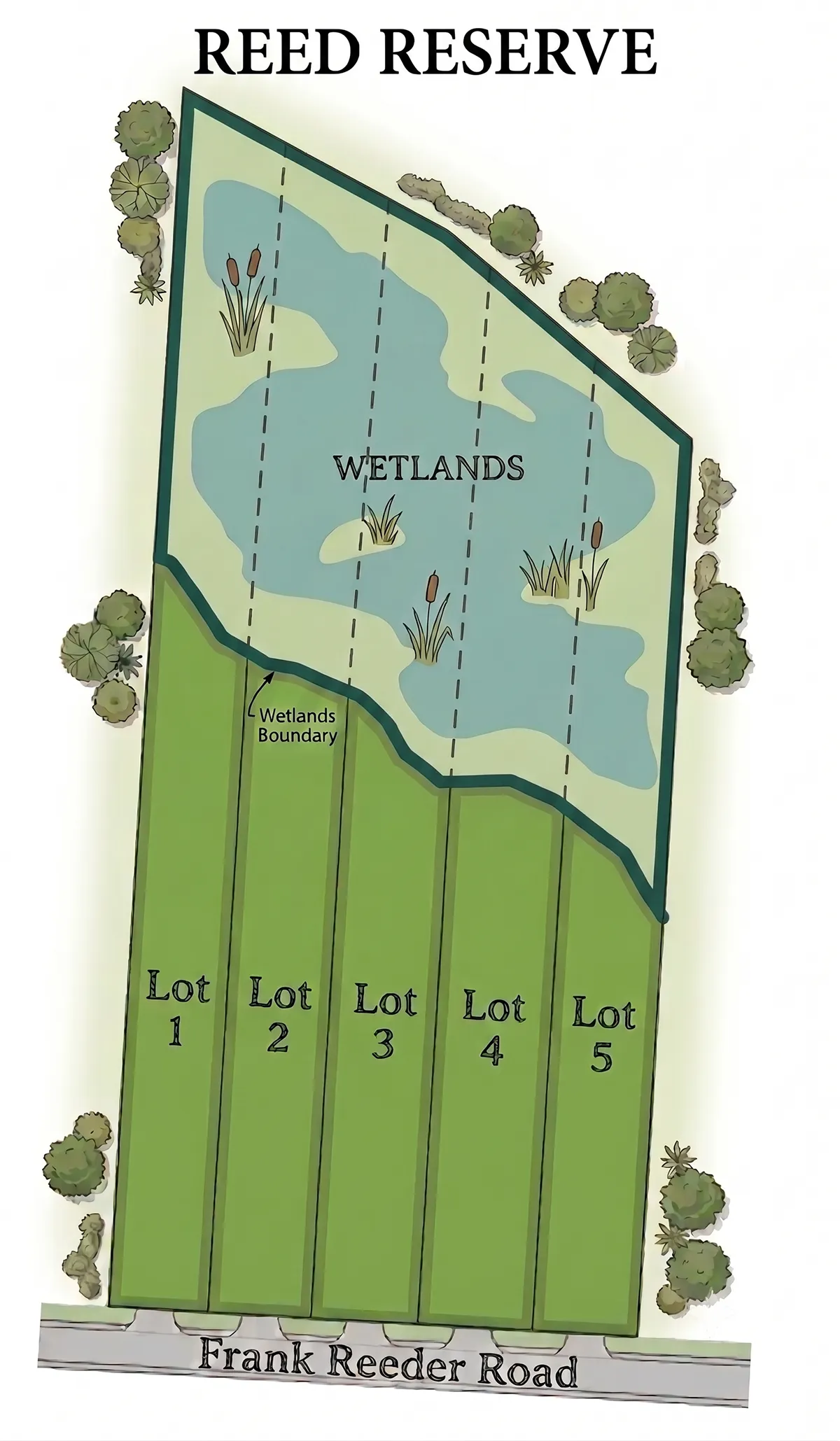 Reed Reserve community